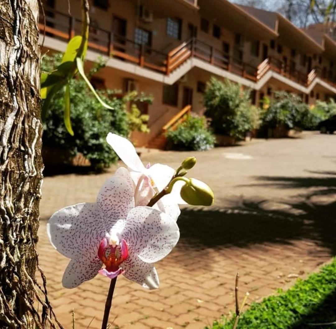 Hotel Pousada Santa Rita ريبيراو بريتو المظهر الخارجي الصورة
