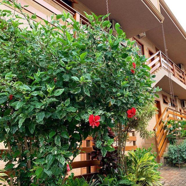 Hotel Pousada Santa Rita ريبيراو بريتو المظهر الخارجي الصورة